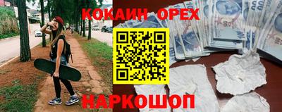 гашик Ливны