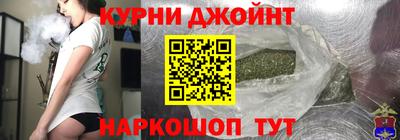 гашик Ливны