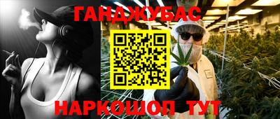 гашик Ливны