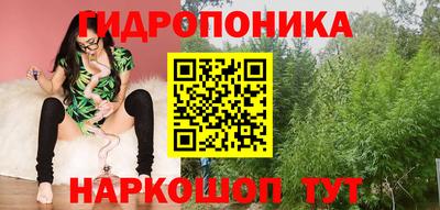 индика Ликино-Дулёво