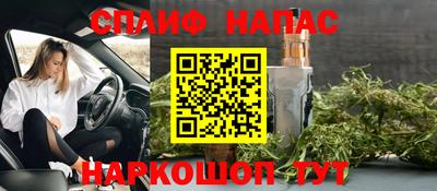 гашик Ливны