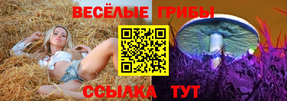 Галлюциногенные грибы Psilocybe  Вход с VPN  Чехов  Псилоцибиновые грибы Magic Shrooms 
