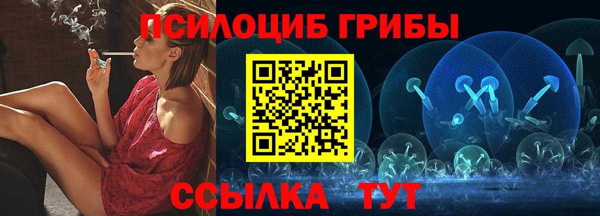 Псилоцибиновые грибы мухоморы Чехов